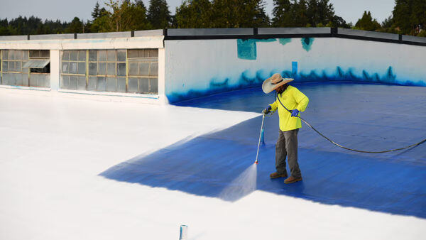 Coatings & Paints - 图片 2